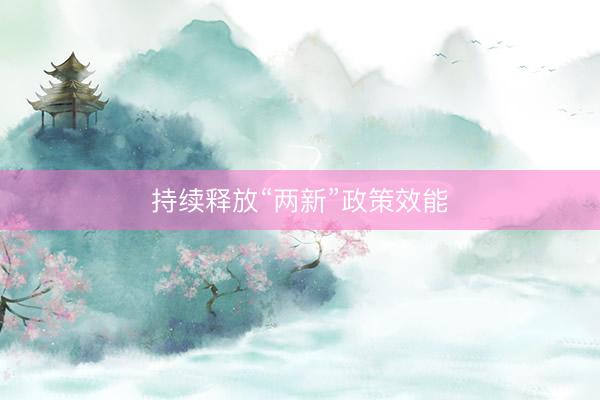 持续释放“两新”政策效能