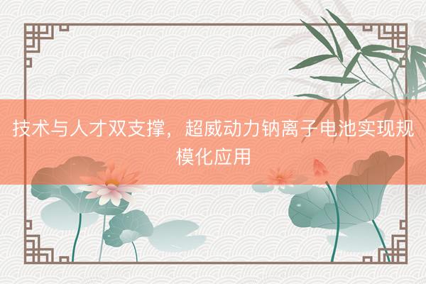 技术与人才双支撑，超威动力钠离子电池实现规模化应用