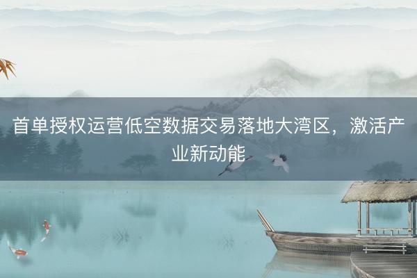 首单授权运营低空数据交易落地大湾区，<a href=
