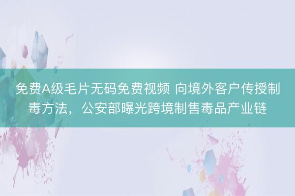 免费A级毛片无码免费视频 向境外客户传授制毒方法，公安部曝光跨境制售毒品产业链