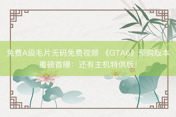 免费A级毛片无码免费视频 《GTA6》预购版本重磅首曝：还有主机特供版！