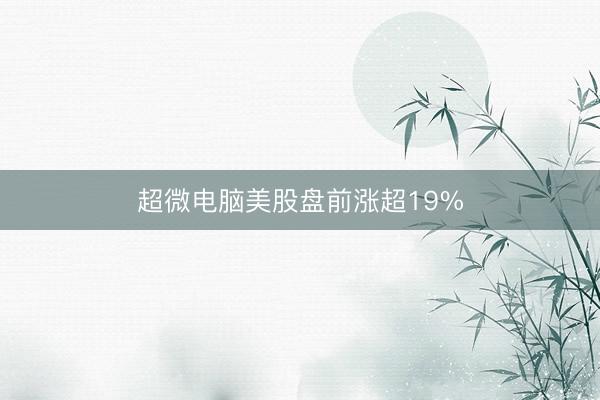 超微电脑美股盘前涨超19%