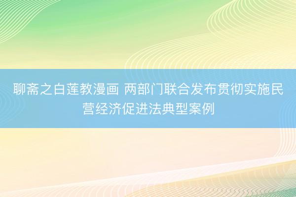 聊斋之白莲教漫画 两部门联合发布贯彻实施民营经济促进法典型案例