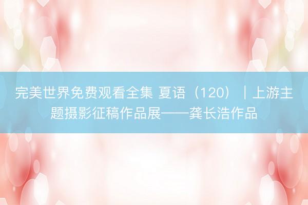 完美世界免费观看全集 夏语（120）｜上游主题摄影征稿作品展——龚长浩作品
