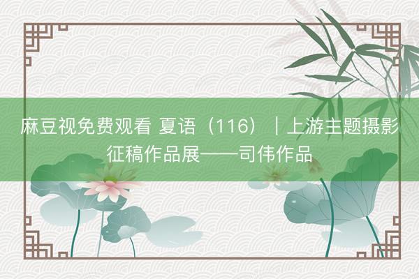 麻豆视免费观看 夏语(116)|上游主题摄影征稿作品展——司伟作品