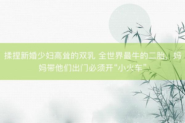 揉捏新婚少妇高耸的双乳 全世界最牛的二胎，妈妈带他们出门必须开“小火车”
