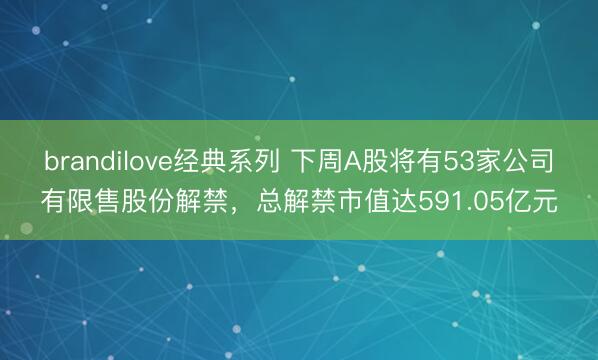 brandilove经典系列 下周A股将有53家公司有限售股份解禁，总解禁市值达591.05亿元