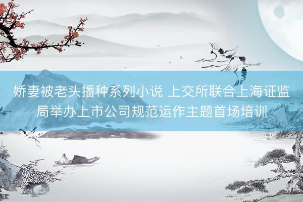 娇妻被老头播种系列小说 上交所联合上海证监局举办上市公司规范运作主题首场培训