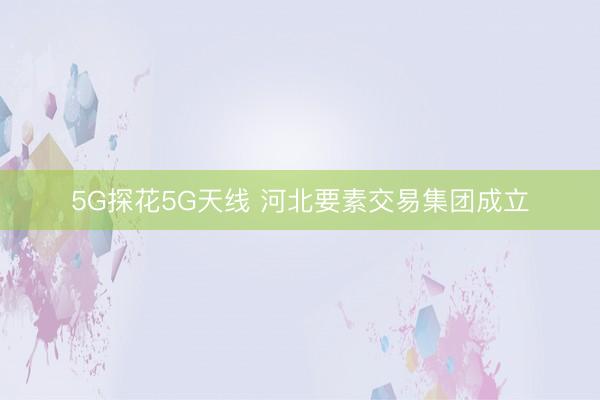 5G探花5G天线 河北要素交易集团成立