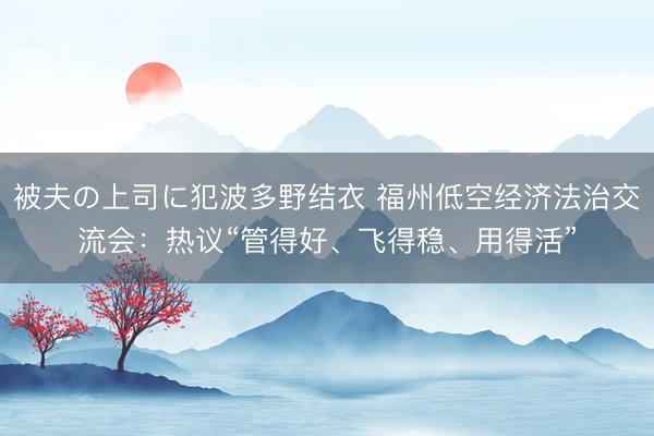 被夫の上司に犯波多野结衣 福州低空经济法治交流会：热议“管得好、飞得稳、用得活”