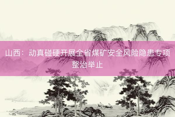山西：动真碰硬开展全省煤矿安全风险隐患专项整治举止