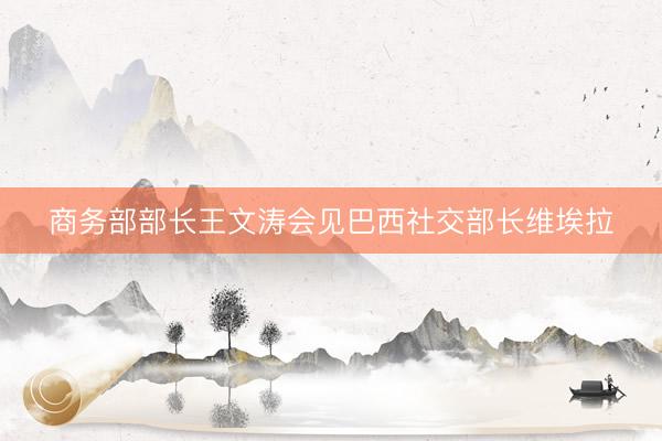 商务部部长王文涛会见巴西社交部长维埃拉