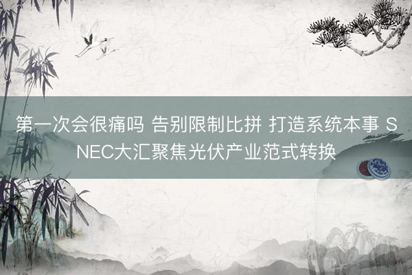 第一次会很痛吗 告别限制比拼 打造系统本事 SNEC大汇聚焦光伏产业范式转换