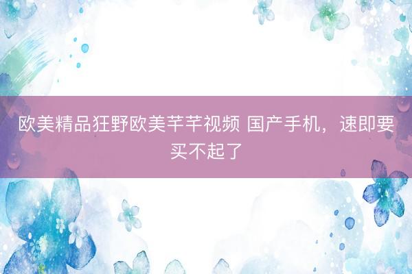 欧美精品狂野欧美芊芊视频 国产手机，速即要买不起了