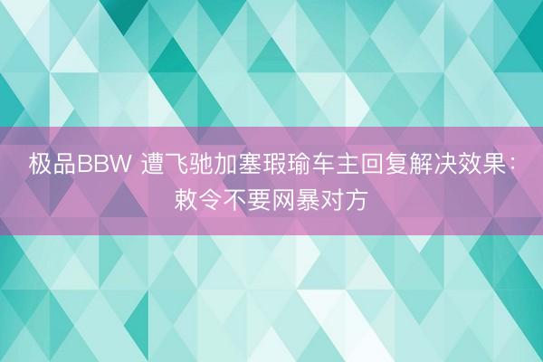 极品BBW 遭飞驰加塞瑕瑜车主回复解决效果：敕令不要网暴对方