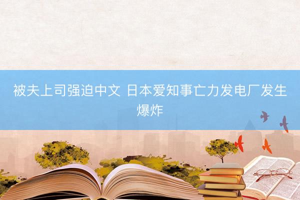 被夫上司强迫中文 日本爱知事亡力发电厂发生爆炸
