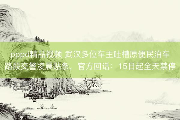 pppd精品视频 武汉多位车主吐槽原便民泊车路段交警凌晨贴条，官方回话：15日起全天禁停