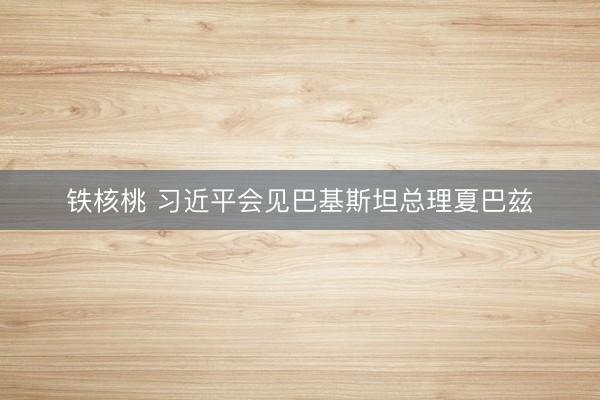 铁核桃 习近平会见巴基斯坦总理夏巴兹
