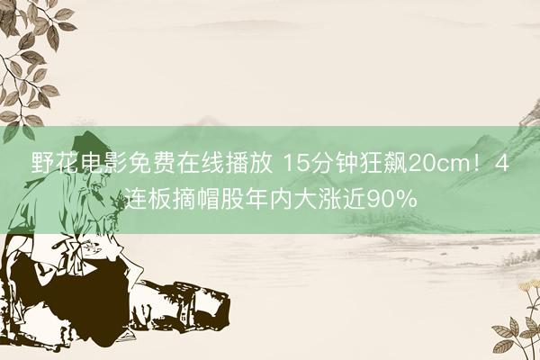 野花电影免费在线播放 15分钟狂飙20cm！4连板摘帽股年内大涨近90%