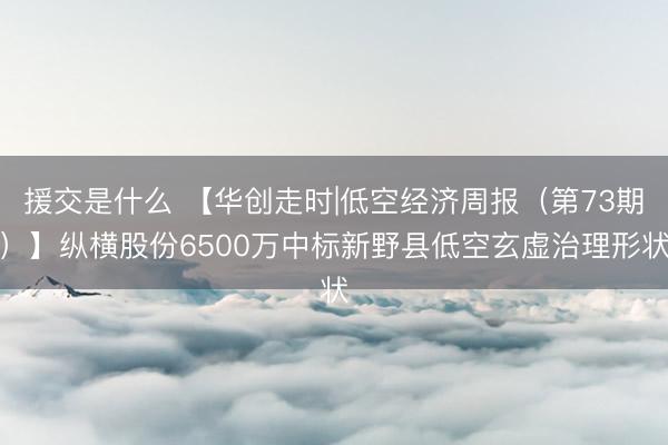 援交是什么 【华创走时|低空经济周报（第73期）】纵横股份6500万中标新野县低空玄虚治理形状