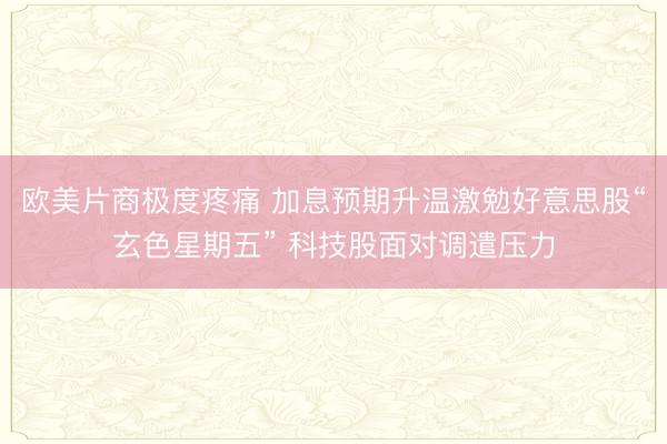 欧美片商极度疼痛 加息预期升温激勉好意思股“玄色星期五” 科技股面对调遣压力