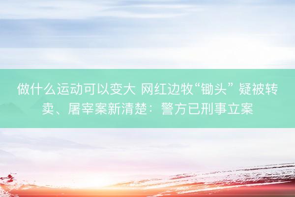 做什么运动可以变大 网红边牧“锄头” 疑被转卖、屠宰案新清楚:警方已刑事立案
