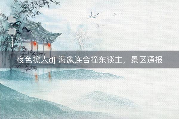 夜色撩人dj 海象连合撞东谈主，景区通报