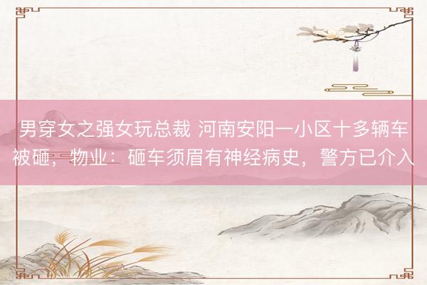 男穿女之强女玩总裁 河南安阳一小区十多辆车被砸，物业：砸车须眉有神经病史，警方已介入