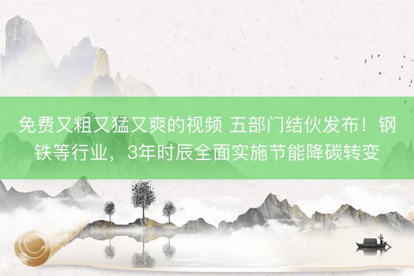 免费又粗又猛又爽的视频 五部门结伙发布！钢铁等行业，3年时辰全面实施节能降碳转变