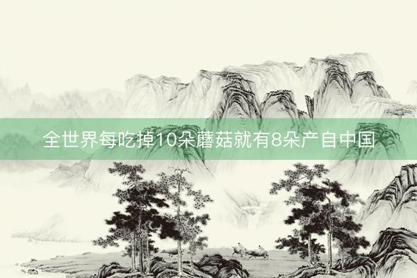 全世界每吃掉10朵蘑菇就有8朵产自中国