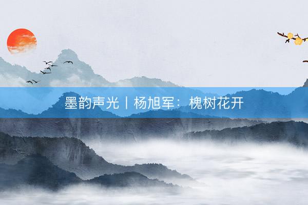 墨韵声光丨杨旭军：槐树花开